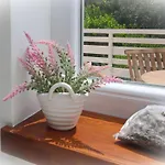 C- Silvija Senj By Interhome 아파트 *